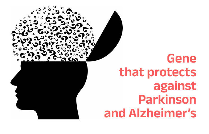 Study finds gene that protects against Alzheimer’s & Parkinson’s