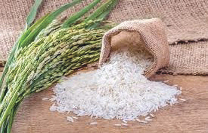 ચોખામાં સરકારી ખરીદી નવા વર્ષમાં વેગ પકડશે