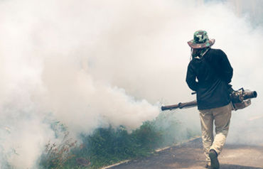 AMC to pay  ₹860 per house to contractors to keep mosquitoes at bay