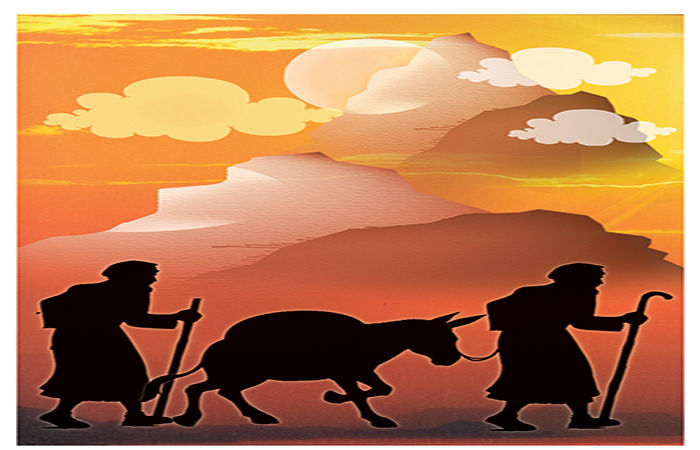 ગધેડાએ ગધેડા બનાવ્યા                          .
