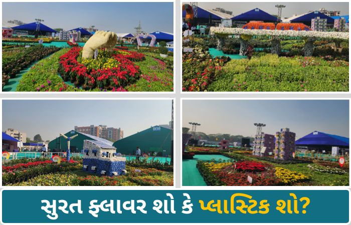 સુરત ફ્લાવર શો: અમદાવાદની નબળી કોપી કર્યાનો આક્ષેપ, મેટ્રોની કૃતિ જોઈ સુરતીઓએ ઉડાવી મજાક!