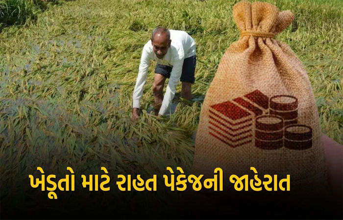 ભાવનગરના 4 તાલુકાનાં 45017 ખેડૂતોએ કૃષિ રાહત માટે ફોર્મ ભર્યા