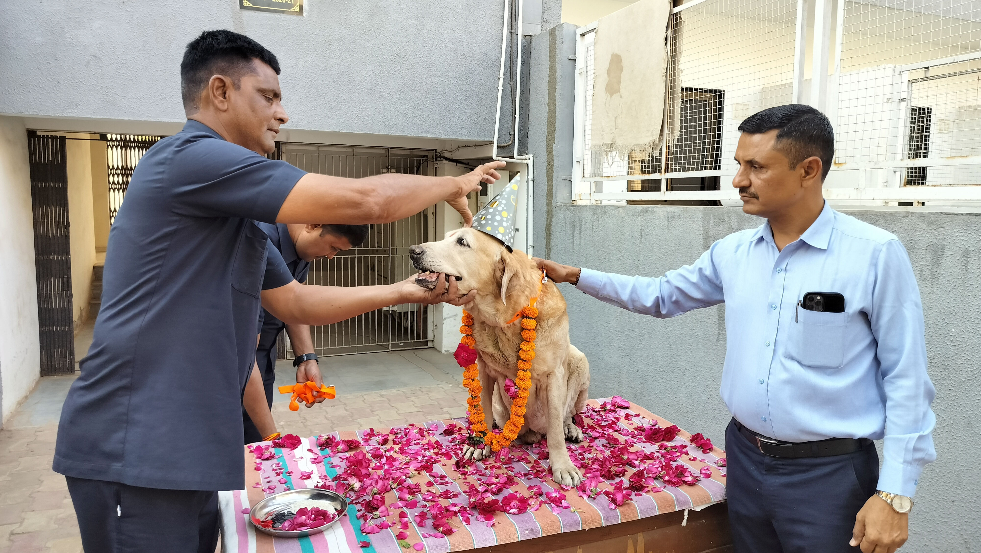 Sniffer dog ‘Jugnu’, part of Gujarat VIP security squad, bows out with well-deserved retirement ceremony