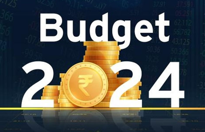 બજેટ 2024-25માં મહિલાઓ પર ફોકસ કરાશે, આ યોજના દેશભરમાં લાગુ થવાની આશા