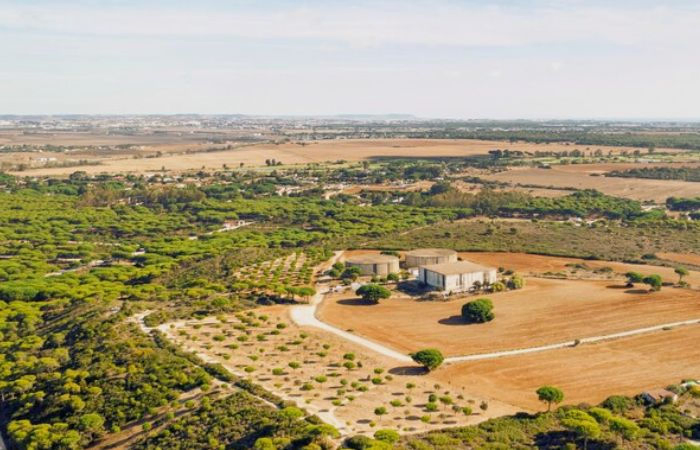 CID Crime to investigate the Swaminarayan Sansthan land scams