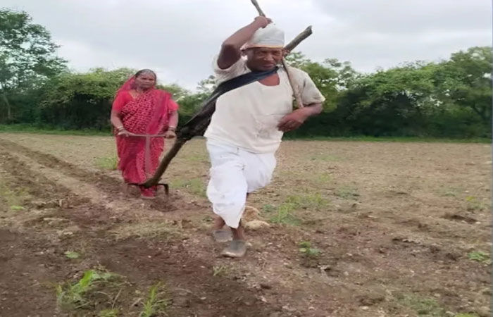 બળદ ન પોસાતો હોવાથી  વૃદ્ધ ખેડૂત જાતે હળ સાથે જોતરાયો
