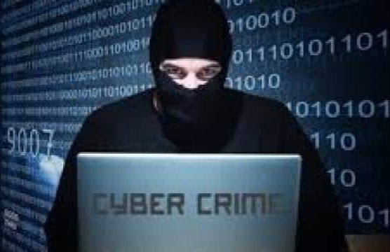 Gujarat sees over 1 lakh cases of cyber crime last year, teams formed in seven states