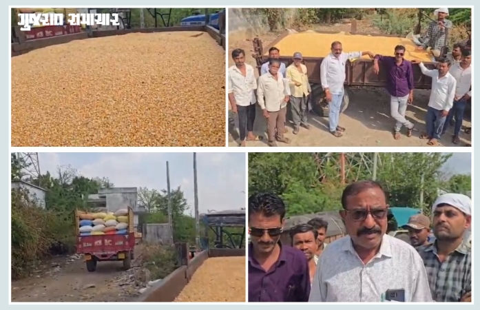 'સરકારને શક્તિ ન હોય તો ખેડૂતોને અવળે માર્ગે ના દોરે...' નસવાડી APMCમાં મકાઈ વેચવા આવેલા ખેડૂતોમાં રોષ