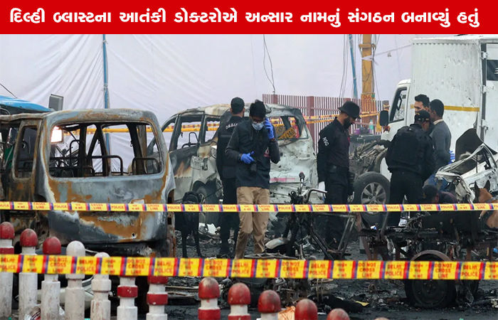 દિલ્હી બ્લાસ્ટના આતંકી ડોક્ટરોએ અન્સાર નામનું સંગઠન બનાવ્યું હતું