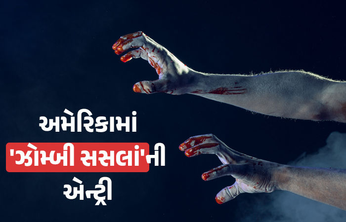 અમેરિકામાં 'ઝોમ્બી સસલાં' જોવા મળતાં ભયનો માહોલ, નવા વાયરસને પાપે ફેલાયેલો રોગ માણસો માટે કેટલો જોખમી છે?