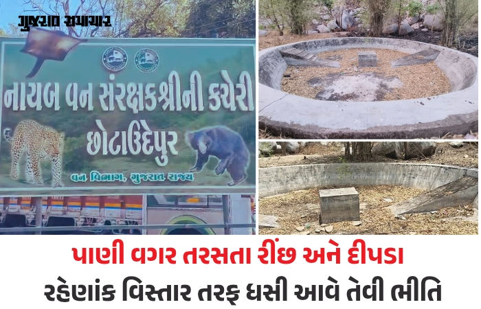 છોટાઉદેપુર: ચેથાપુરના જંગલમાં વન વિભાગની ઘોર બેદરકારી, કાળઝાળ ગરમીમાં વન્યજીવો માટે બનાવેલો હવાડા ખાલીખમ