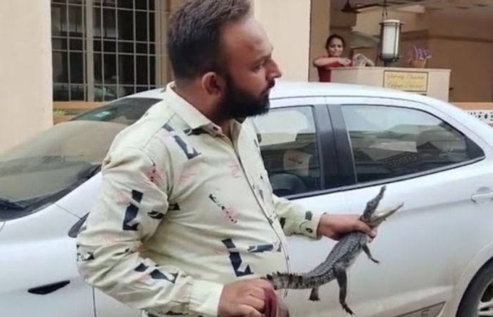 VIDEO: વડોદરાના ગામડાઓમાં મગર દેખાતા ડરનો માહોલ, બિલ ગામે કાર નીચેથી મગરના બચ્ચાનું રેસ્ક્યુ