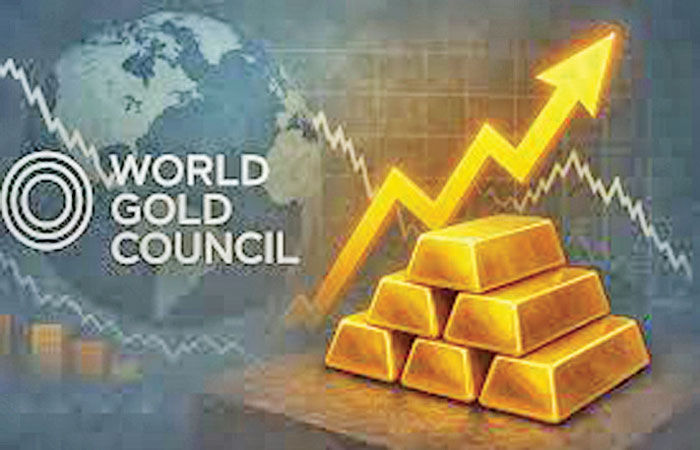 2026માં પણ સોનામાં 30 ટકા સુધીના ઉછાળાનો WGCએ મુકેલો અંદાજ