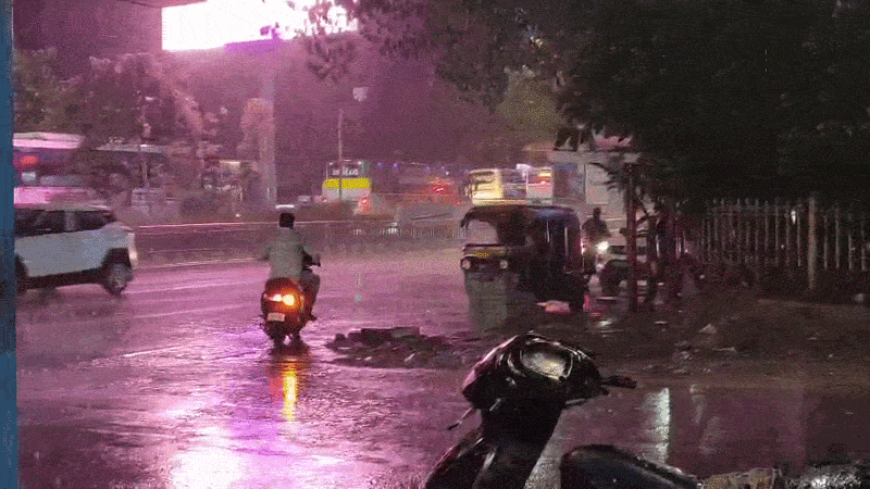 ગુજરાતમાં મિની વાવાઝોડા સાથે તોફાની વરસાદ: અનેક જિલ્લામાં વૃક્ષો ધરાશાયી, વીજળી ગુલ થતા અંધારપટ