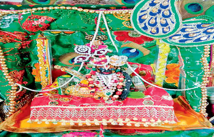 મંદિરો હવેલીઓમાં ઉજવાશે હિંડોળા મહોત્સવ !