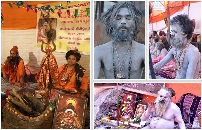 ભવનાથમાં અલખ નાદ: સાધુઓના ધૂણા અને ભસ્મનું ગૂઢ રહસ્ય, જાણો આધ્યાત્મિક અને વૈજ્ઞાનિક મહત્ત્વ
