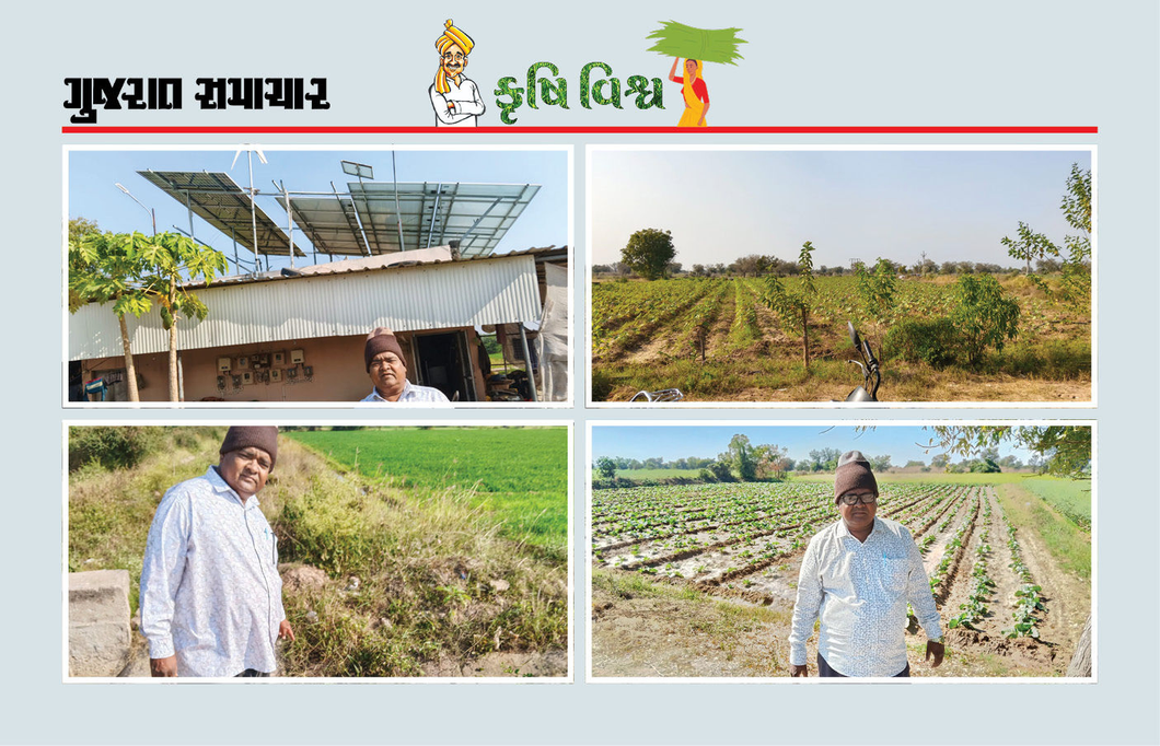 સોલાર ઊર્જાનો જ્યારે વિચાર પણ નહોતો ત્યારે સોલાર અપનાવાતા ચમત્કારિક પરિણામ મળ્યાં