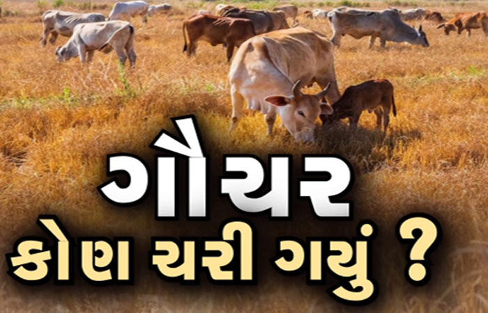 રાજકોટ જિલ્લાના 21 ગામોમાં 501 ઈસમોએ ગૌચર દબાવ્યું