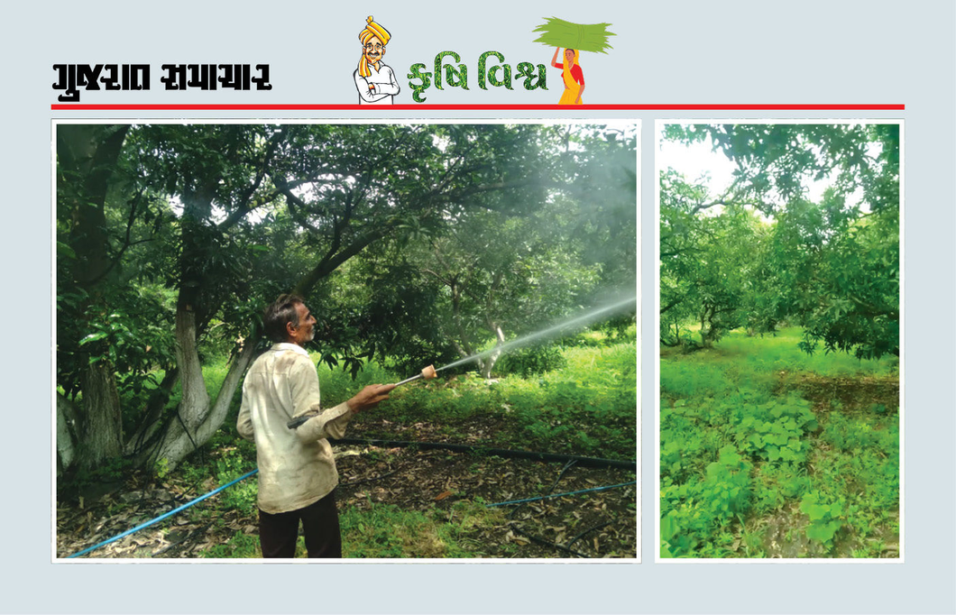 પ્રાકૃતિક ખેતીના કેટકેટલા ફાયદા ! બિયારણ ખર્ચ ઘટ્યો, જમીન સુધરી, કૃષિ ઉત્પાદન વધ્યું