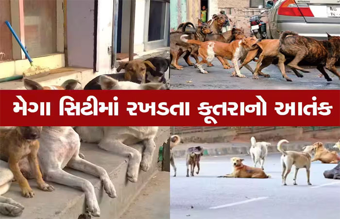 ભાવનગરમાં શ્વાનનો ત્રાસ યથાવત, 12 માસમાં 17,628 લોકોને કરડતા ગભરાટ