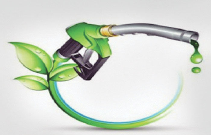 પેટ્રોલમાં ઈથેનોલ બ્લેન્ડિંગથી વાહનના એન્જિનને નુકસાન થવાના દાવાને નકારાયો