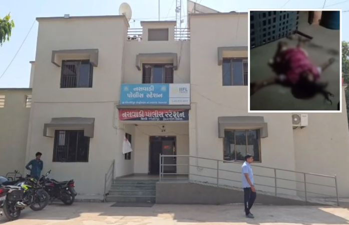 નસવાડીમાં લૂંટના ઈરાદે વૃદ્ધાની હત્યા, ચાંદીના કડા કાઢવા લૂંટારુઓએ મહિલાના બંને પગ કાપી નાખ્યા