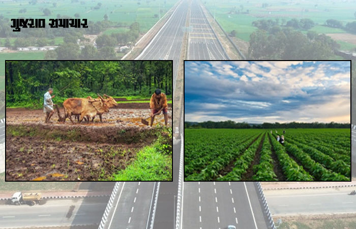અમદાવાદ-થરાદ હાઈવે માટે 10000 ખેડૂતોની જમીન નષ્ટ થવાની દહેશત, 8 હેક્ટર તો જંગલની જમીન