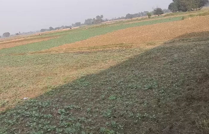 ખેતીલાયક જમીનના વેચાણના પ્રમાણપત્ર મેળવવામાં ખેડૂતોને હેરાનગતિ