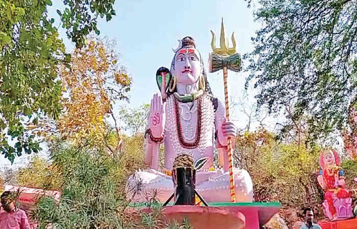 સાબરકાંઠા અને અરવલ્લી જિલ્લામાં મહા શિવરાત્રી પર્વ ઉમંગભેર ઉજવાયું