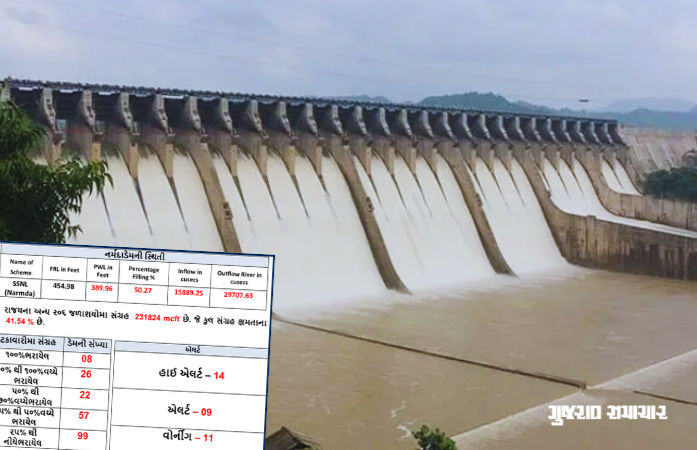ગુજરાતના 206 ડેમમાં નવા નીરની આવક: 8 ડેમ છલકાયા, 14 હાઈ ઍલર્ટ પર, જાણો રાજ્યના ડેમની સ્થિતિ