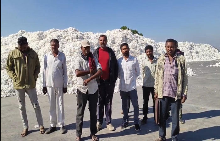 સાયલામાંં સીસીઆઇ કેન્દ્રમાં 'બી' ગ્રેડના કપાસની ખરીદીની માંંગ