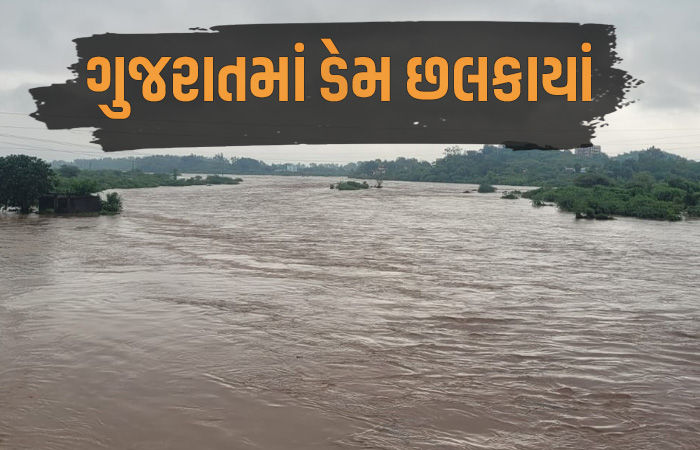 ગુજરાતમાં મેઘરાજાની ધડબડાટી, 29 ડેમ હાઇ ઍલર્ટ પર, સૌરાષ્ટ્ર-કચ્છના 19 ડેમ 100% છલકાયા