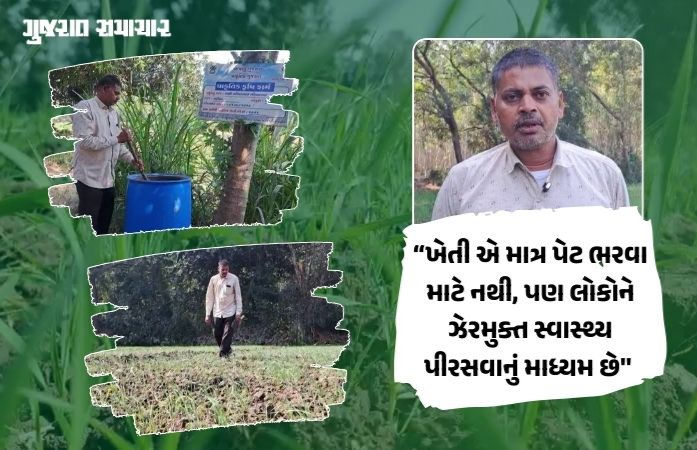 ઝેરમુક્ત ખેતી, મબલક કમાણી: પંચમહાલના ખેડૂતે શાકભાજી વેચી ખેતીને બનાવ્યો નફાકારક વ્યવસાય