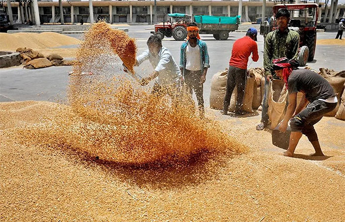 સરકારે 25 લાખ ટન ઘઉં અને પાંચ લાખ ટન ખાંડની નિકાસની છૂટ આપી