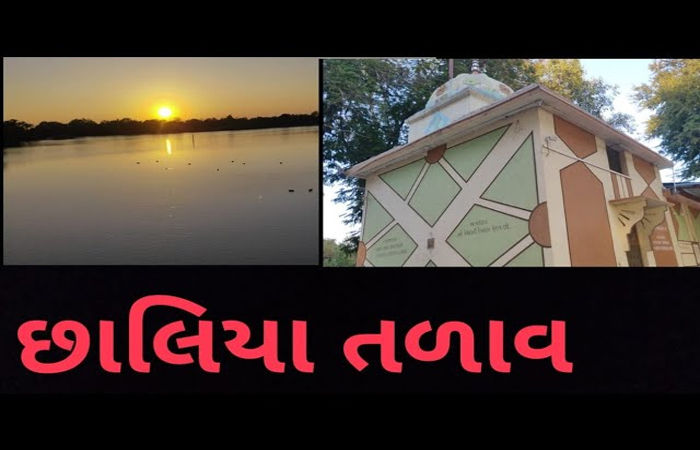 લીંબડીના છાલિયા તળાવમાં વૃદ્વ ડૂબ્યાની આશંકાએ ફાયરની ટીમ દ્વારા શોધખોળ