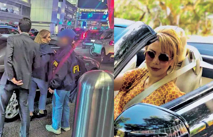 ઇરાન માટે શસ્ત્રોના સોદા બદલ ઈરાની મૂળની મહિલાની અમેરિકામાં ધરપકડ