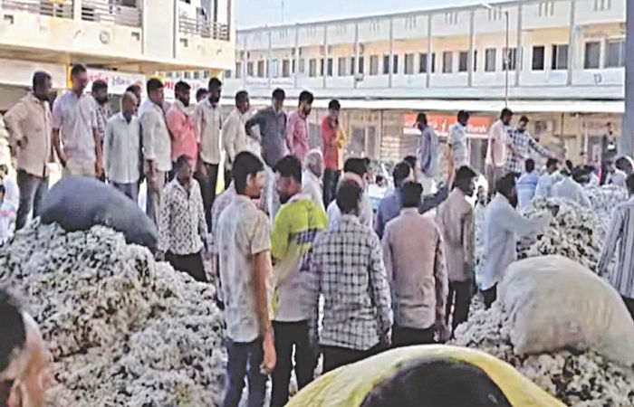 હળવદ માર્કેટયાર્ડમાં હરાજી પહેલાં 400 મણ કપાસ બળીને ખાખ