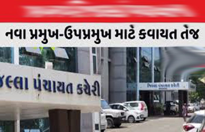 આજે જિલ્લાની 10 તાલુકા પંચાયતમાં પ્રમુખ-ઉપપ્રમુખની ચૂંટણી માટે ફોર્મ ભરાશે