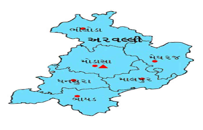 અરવલ્લીમાં સરપંચ પદની 196, વોર્ડ સભ્યની 1750 બેઠકો માટે ઉમેદવારી નોંધાવી શકાશે