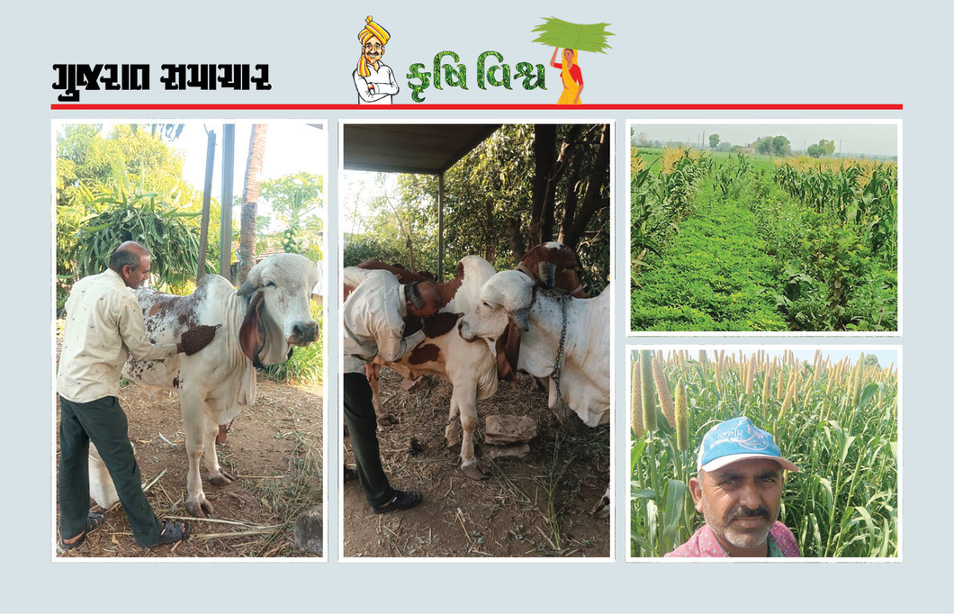 પશુપાલન અને પ્રાકૃતિક ખેતીના સમન્વય દ્વારા સ્વસ્થ જીવનશૈલી સાથે આર્થિક સમૃદ્ધિ