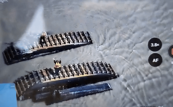 Boat capsize in Kutch creek, BSF save 3 missing employees after 20-hr search