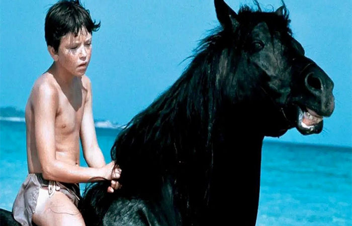 A Wild Horse, A Brave Boy, & an Unforgettable Friendship