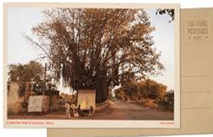 પોસ્ટકાર્ડની ખપત પંદર જ દિવસમાં અઢી ગણી નોંધાઈ