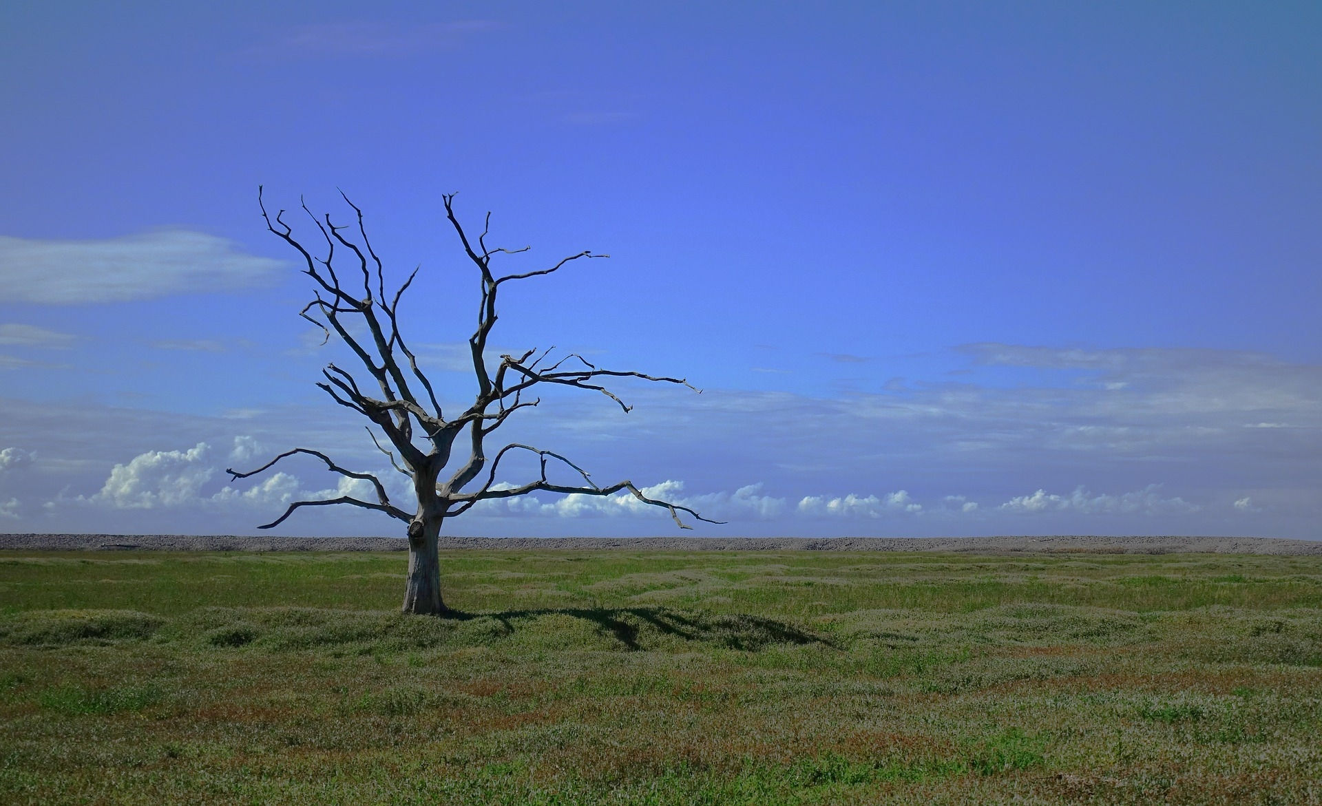 Climate change can alter risk of succumbing to infectious diseases