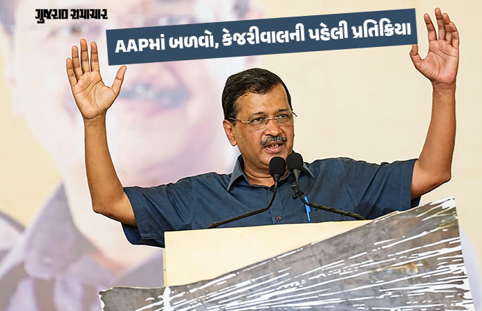 'પંજાબીઓ સાથે ભાજપે ફરી દગો કર્યો', રાઘવ ચઢ્ઢા મુદ્દે કેજરીવાલ, સંજયસિંહ સહિતના નેતાઓની પ્રતિક્રિયા