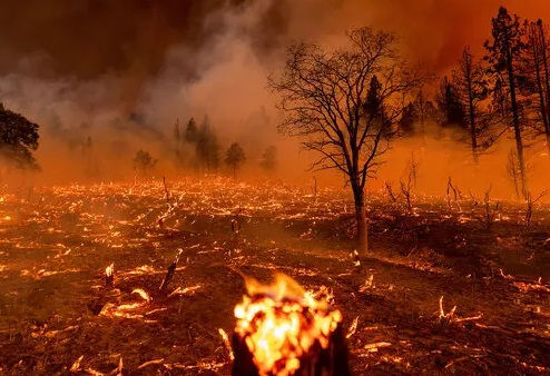 Climate change may claim 14.5 mn lives by 2050, says WEF
