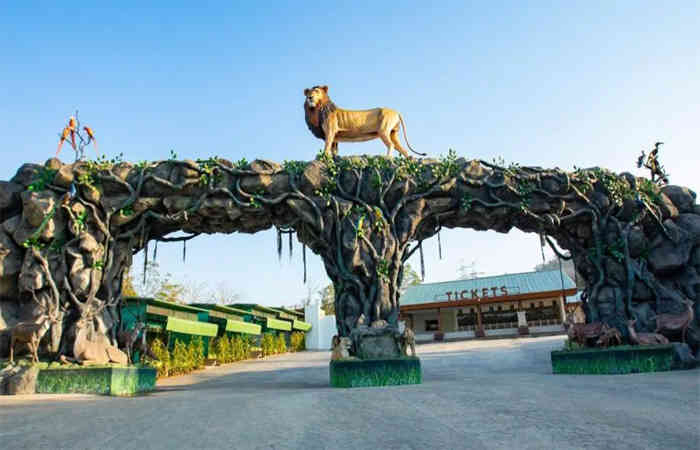કેવડિયા જંગલ સફારીમાં 53 દેશી-વિદેશી પ્રાણી-પક્ષીઓએ તોડ્યો દમ, જાણો કારણ