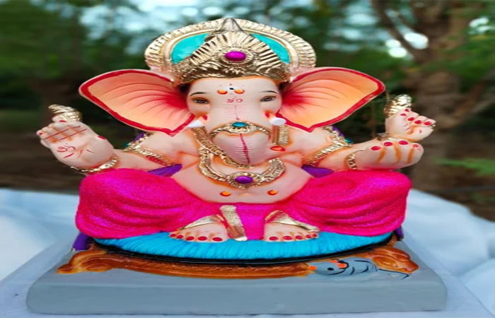 આણંદમાં 9 ફૂટથી વધુ ઊંચી ગણેશ મૂર્તિ બનાવવા, વેચવા પર પ્રતિબંધ