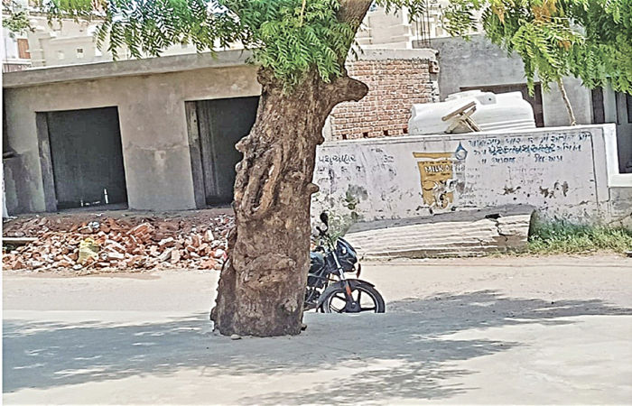 ઝંડા ગામની શાળાના કમ્પાઉન્ડ વોલ તોડી બાંધકામ કરાયું