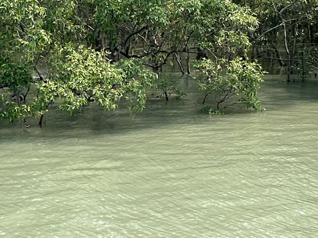 Air pollution threatening the mangrove ecosystem of Sundarbans: Study